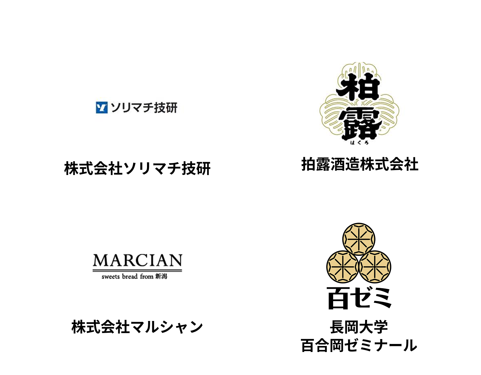 Sponsors Background